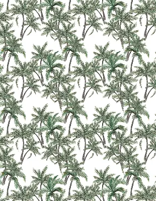 Notranje okensko senčilo Palme