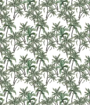 Notranje okensko senčilo Palme