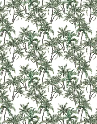 Notranje okensko senčilo Palme