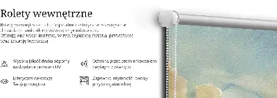 Notranje okensko senčilo Barvito nebo