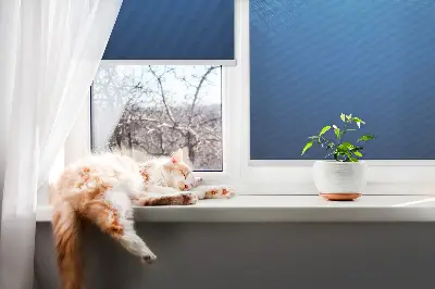 Notranje senčilo za okno Modra animacija