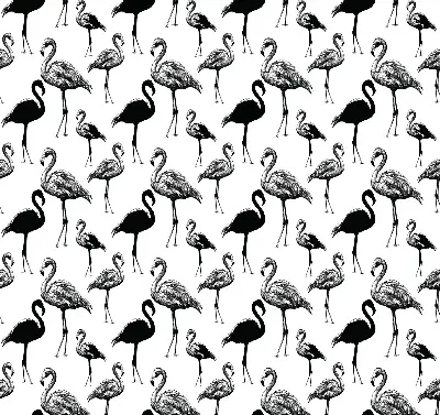 Senčilo za balkonska vrata Črni flamingi