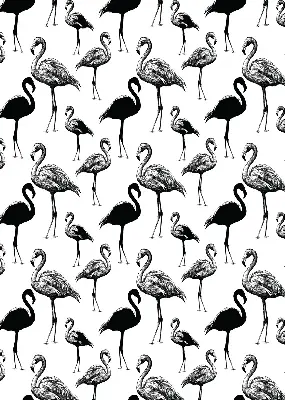 Senčilo za balkonska vrata Črni flamingi