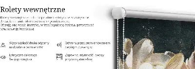 Notranje okensko senčilo Poslikane rože