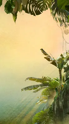 Notranje senčilo Okvir rastline