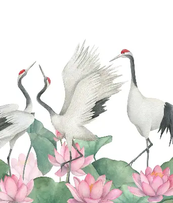 Notranje senčilo Žerjavi v lilijah