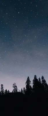 Senčilo za balkonska vrata Zvezdno nebo