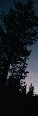 Senčilo za balkonska vrata Zvezdno nebo