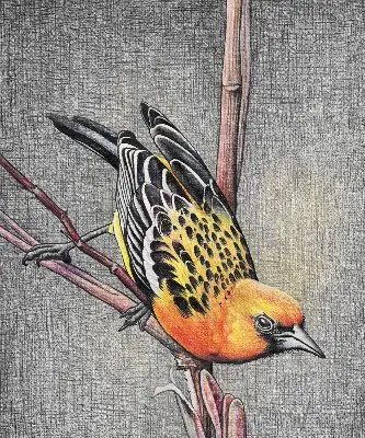 Notranje okensko senčilo Ptica na veji