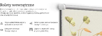 Notranje senčilo za okno Cvet