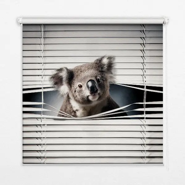 Senčilo za okno Koala