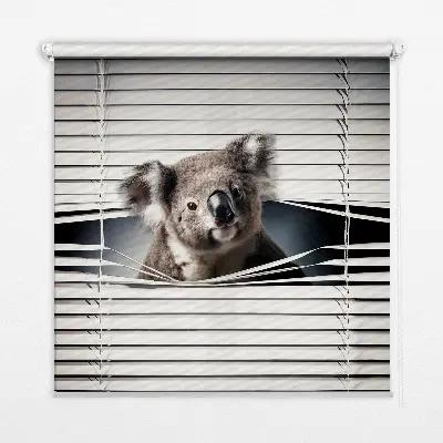 Senčilo za okno Koala