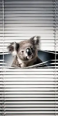 Senčilo za okno Koala