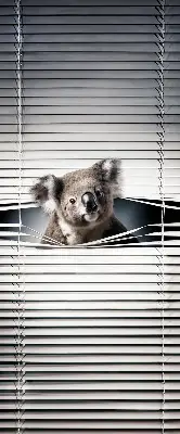 Senčilo za okno Koala