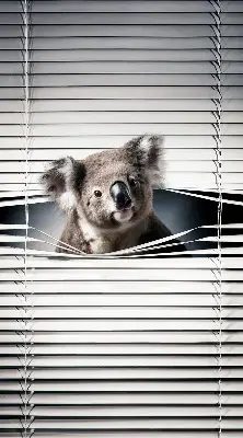 Senčilo za okno Koala