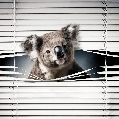 Senčilo za okno Koala
