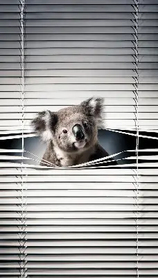 Senčilo za okno Koala