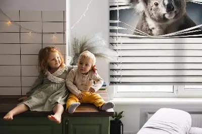 Senčilo za okno Koala