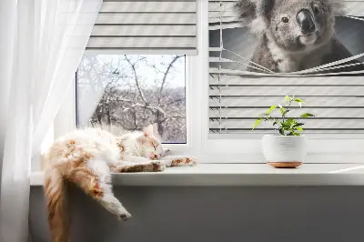 Senčilo za okno Koala