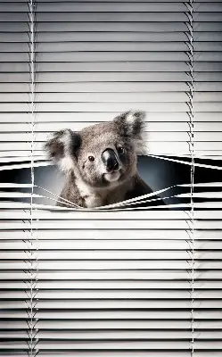 Senčilo za okno Koala