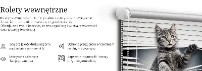 Notranje senčilo Mačka