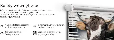 Notranje okensko senčilo Krava