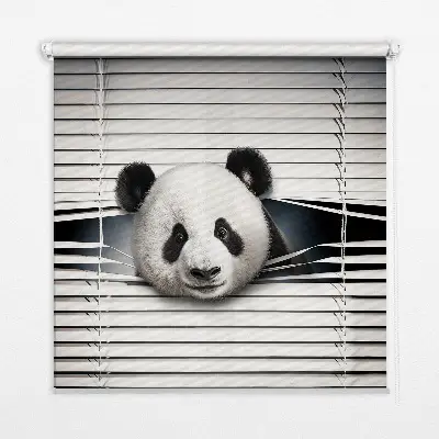 Notranje senčilo za okno Panda