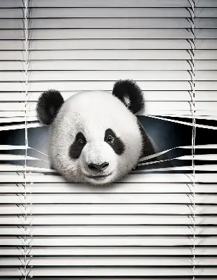 Notranje senčilo za okno Panda