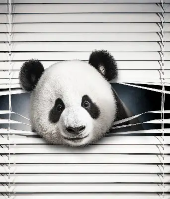 Notranje senčilo za okno Panda
