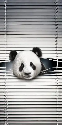 Notranje senčilo za okno Panda