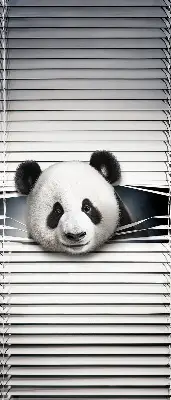 Notranje senčilo za okno Panda