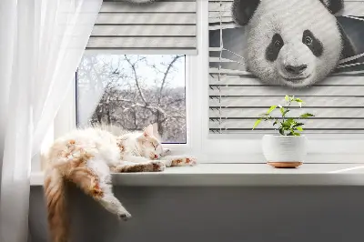 Notranje senčilo za okno Panda