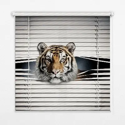 Senčilo za balkonska vrata Tiger