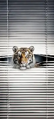 Senčilo za balkonska vrata Tiger
