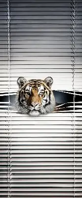 Senčilo za balkonska vrata Tiger