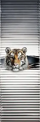 Senčilo za balkonska vrata Tiger