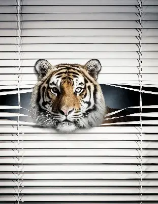 Senčilo za balkonska vrata Tiger