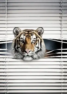 Senčilo za balkonska vrata Tiger