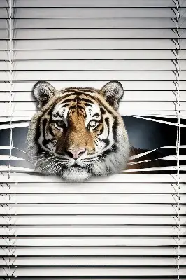 Senčilo za balkonska vrata Tiger