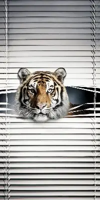 Senčilo za balkonska vrata Tiger