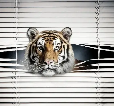 Senčilo za balkonska vrata Tiger