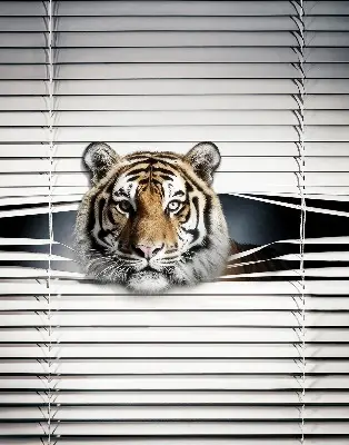 Senčilo za balkonska vrata Tiger
