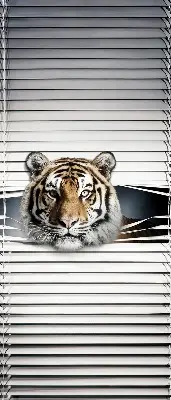 Senčilo za balkonska vrata Tiger