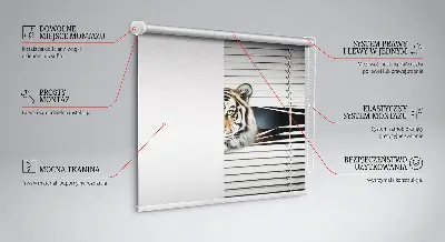 Senčilo za balkonska vrata Tiger