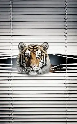 Senčilo za balkonska vrata Tiger