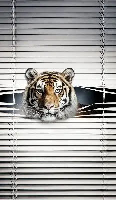 Senčilo za balkonska vrata Tiger