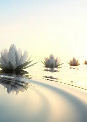 Zatemnilni rolo za okno Lokvanji