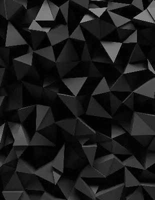 Notranji zatemnilni rolo Črni origami