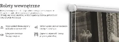Notranji okenski zatemnilni rolo Mačke v oknu