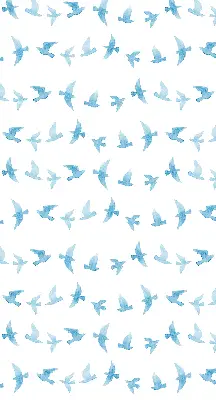 Notranji zatemnilni rolo Modre ptice
